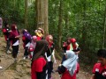 Tn 0941 DSC00116
